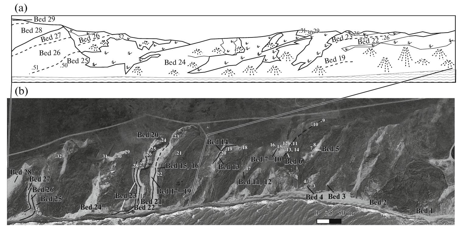 Fig. 13. Section of the uppermost Sarmatian and Lower Maeotian from Kruglaya Hill to Cape Zheleznyi Rog: (a) scheme of coastal cliff, (b) satellite photograph of the coasts (after Google—Planet); beds and main sampling points are marked. 