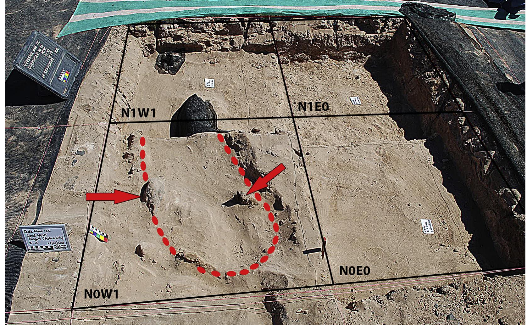 Fig. 8. Plane view of the prepared fireplace (dotted red line- Feature 4; layers 3 and 4, quad NOW1). The concave enclosure is delimited by a salt concretion along with a rock place in vertical position with signs of burning and ash adherence (arrow on the left), and also by a wooden pointed stick that has been burned on its tip (arrow on the right). Grid N1W shows the location of two protected pedestals, one containing bone fragments and charcoal, and the other (facing the wall) contains the vertical-oriented wooden artifact (with prominent v-shaped longitudinal groove, see Fig. 7E). The other grids (NOEO and N1EO, also indicated) show the base of levels 4 and 5, respectively. (For interpretation of th references to color in this figure legend, the reader is referred to the web version of this article.) 