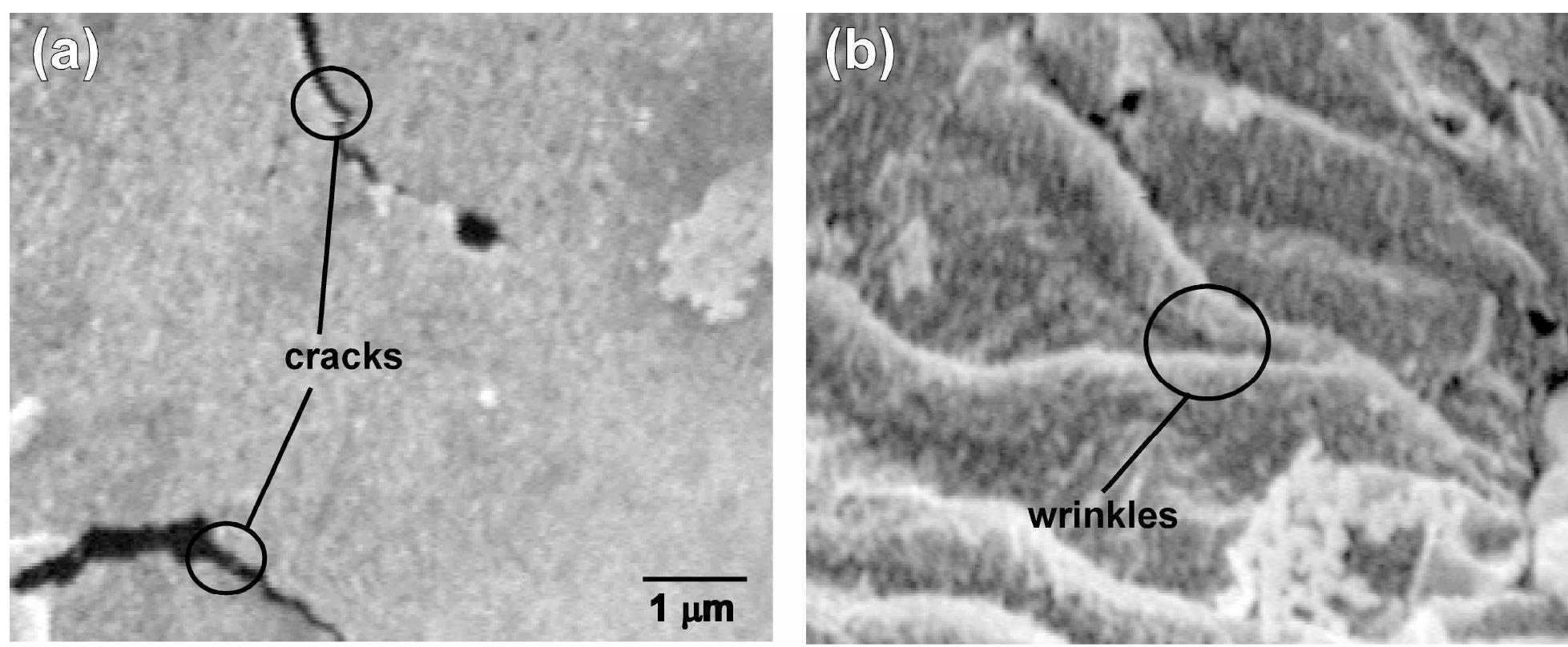 Figure 22. SEM micrograph of sample surfaces exhibiting (a) micro-cracks and 