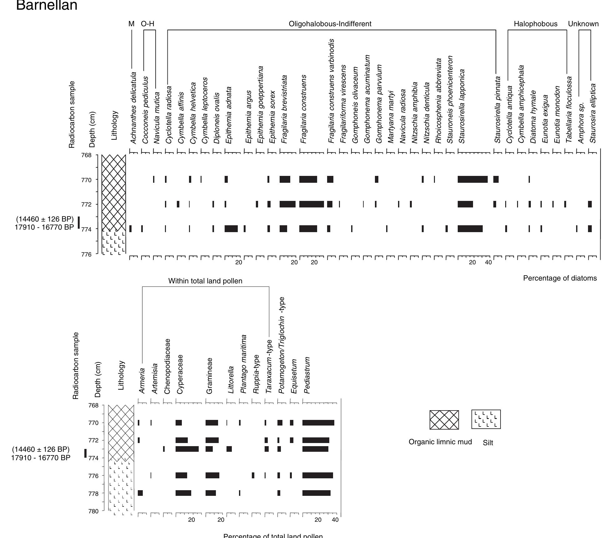 Figure 3 Barnellan microfossil data, lithology and radiocarbon age. Depths refer to centimetres below ground surface and the sill of the basin lies al 30.4m OD. Radiocarbon age shown +10 and 95% probability range, yr BP. Diatom data show only species >2% total diatom count (M=mesohalobian, O-H = oligohalobous-halophile diatom salinity class). Pollen data for selected species, expressed as percentage total land poller  This freshwater loch, ca. 100x150 m, is the remnant of a much larger water body in a rock basin behind a sill at 17.8 £0.5m OD. Cores taken at the edge of the loch reveal more than 8 m of sediment. The base of organic sediment coincides with the transition from foraminifera, in the underlying clastic units, to freshwater testate amoebae or thecamoebians (Fig. 4). This represents an isolation contact, dated 15410-14130 BP from herbaceous macrofossils in the basal 1. cm of the organic unit. Foraminifera below the contact give an age 15 490-14 170 BP, but this includes no marine reservoir correction. In a similar context from an isolation basin in Kintail (location 10, Fig. 1), Shennan et al. (2000) reported identical early Holocene ages from paired dates on foraminifera and bulk sediment. Both pairs of dates suggest that in shallow marine marginal environments such as isolation basins either the mixing of sea water is such that the marine reservoir effect is negligible or it is offset by old  The index point from Barnellan is a reliable limiting date, demonstrating that by 17910-16770 BP the site was ice-free and relative sea level was no higher than the elevation of the sill. On balance, there is insufficient evidence to conclude unequivocally that the index point represents a fall of relative sea-level across the sill. So in testing different model predictions 