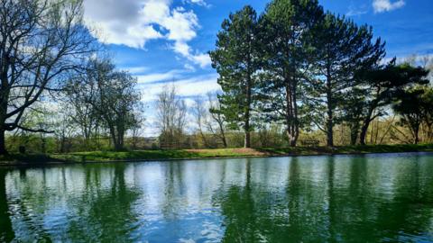 A large body of water in the foreground that is reflecting in the sun under bright blue skies and large green trees.
